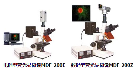 電腦型MDF-200E